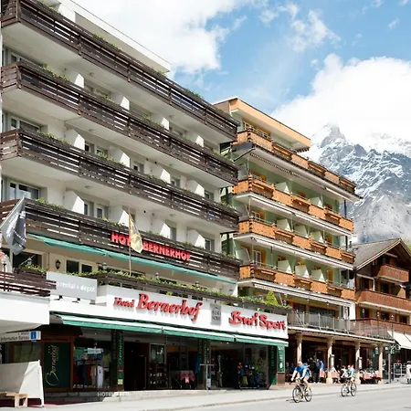 Bernerhof 3* Γκρίντελβαλντ