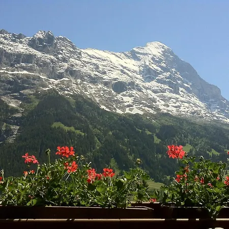 Bernerhof 3*