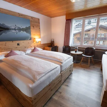 Ξενοδοχείο Bernerhof 3*