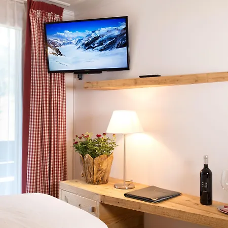 Bernerhof Hotel 3*