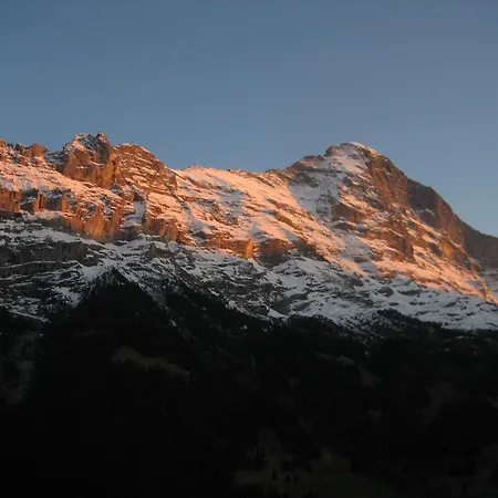 Готель Bernerhof Гріндельвальд