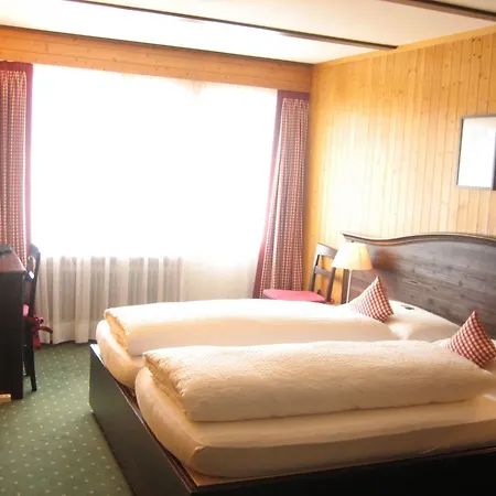 Bernerhof 3* Γκρίντελβαλντ
