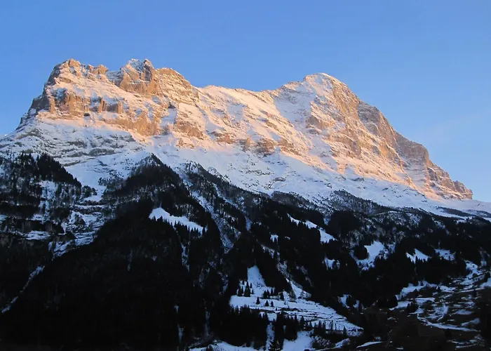 Готель Bernerhof Гріндельвальд