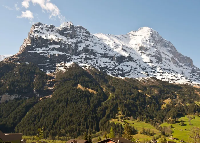 Готель Bernerhof