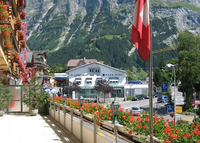 Готель Bernerhof 3*