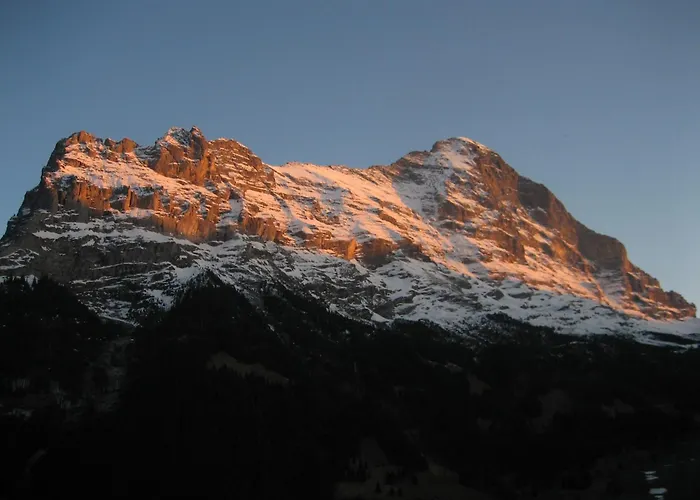 Готель Bernerhof Гріндельвальд