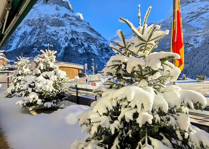 Bernerhof Готель 3*