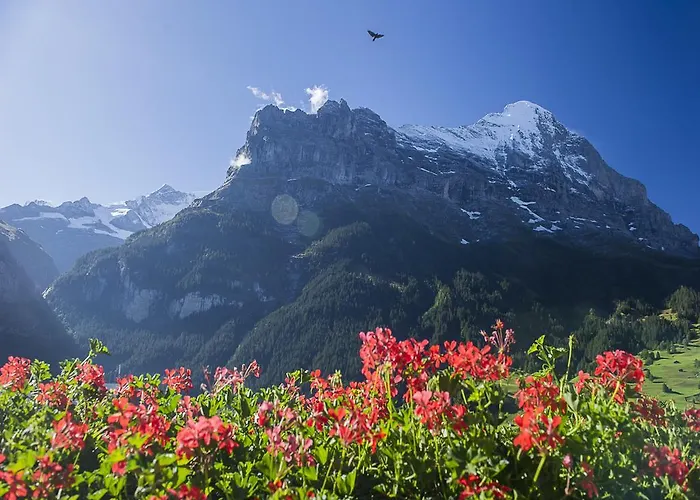 Bernerhof Готель 3*