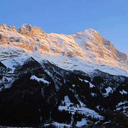 Szálloda Bernerhof Grindelwald