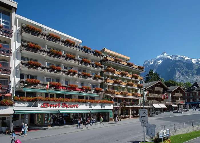 Ξενοδοχείο Bernerhof 3*